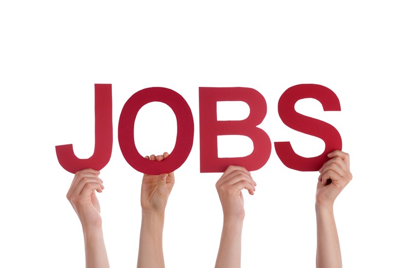 Use HMRC app and be job-ready this summer