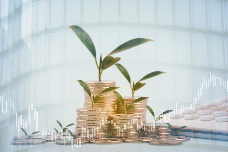 VAT – advantages of the VAT Flat Rate Scheme